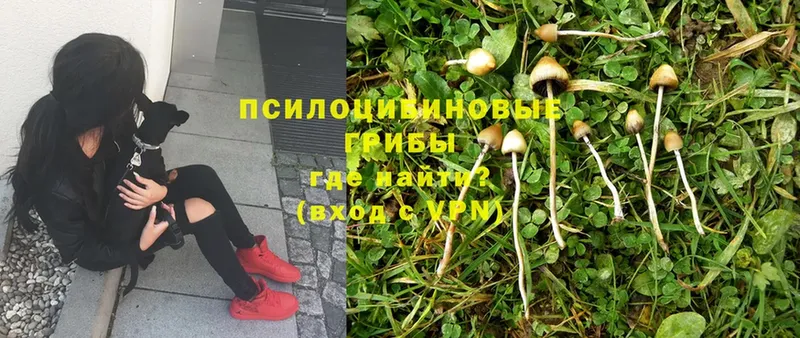 Псилоцибиновые грибы MAGIC MUSHROOMS  Изобильный 